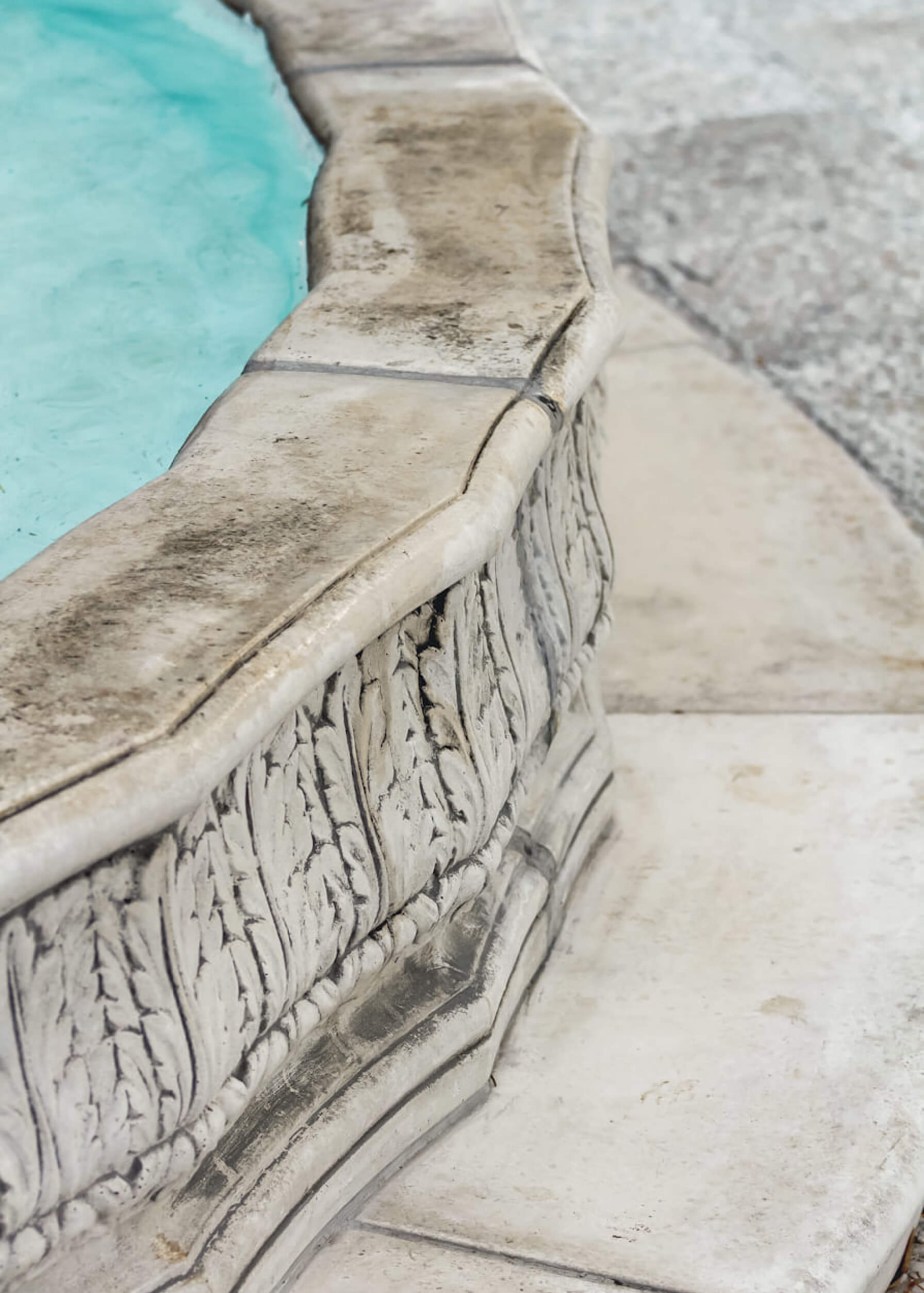 Vista principale Foolish